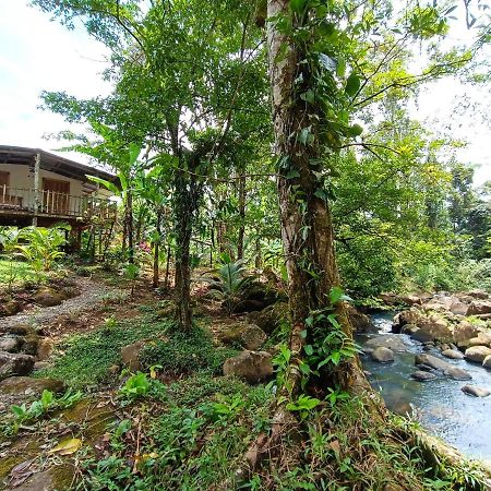 Cabana Vista Rio Celeste Extérieur photo
