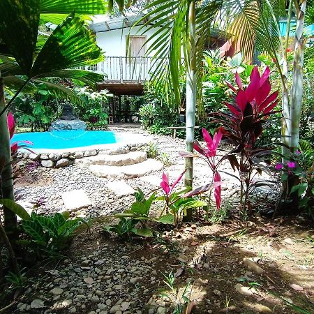 Cabana Vista Rio Celeste Extérieur photo