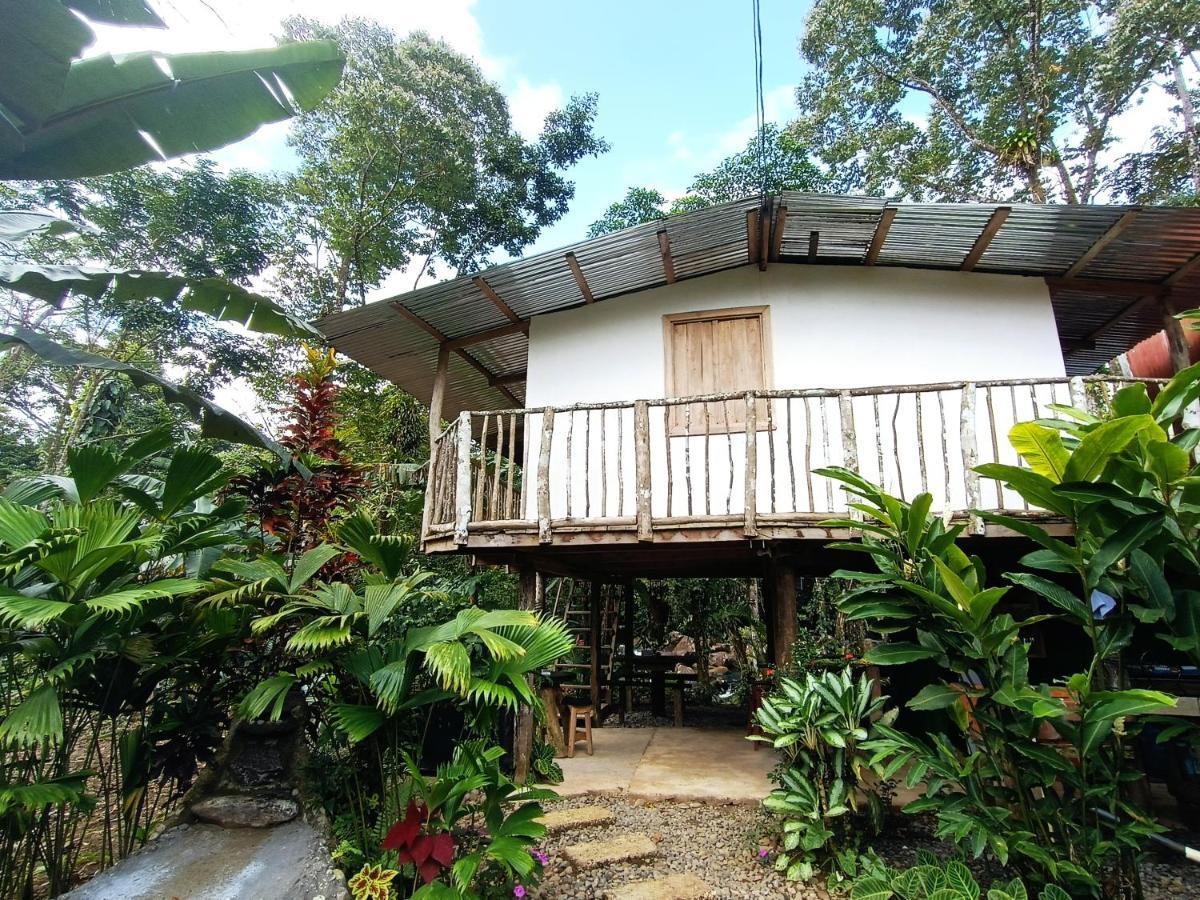 Cabana Vista Rio Celeste Extérieur photo
