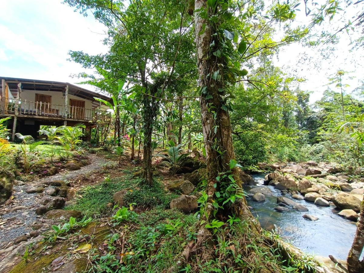 Cabana Vista Rio Celeste Extérieur photo