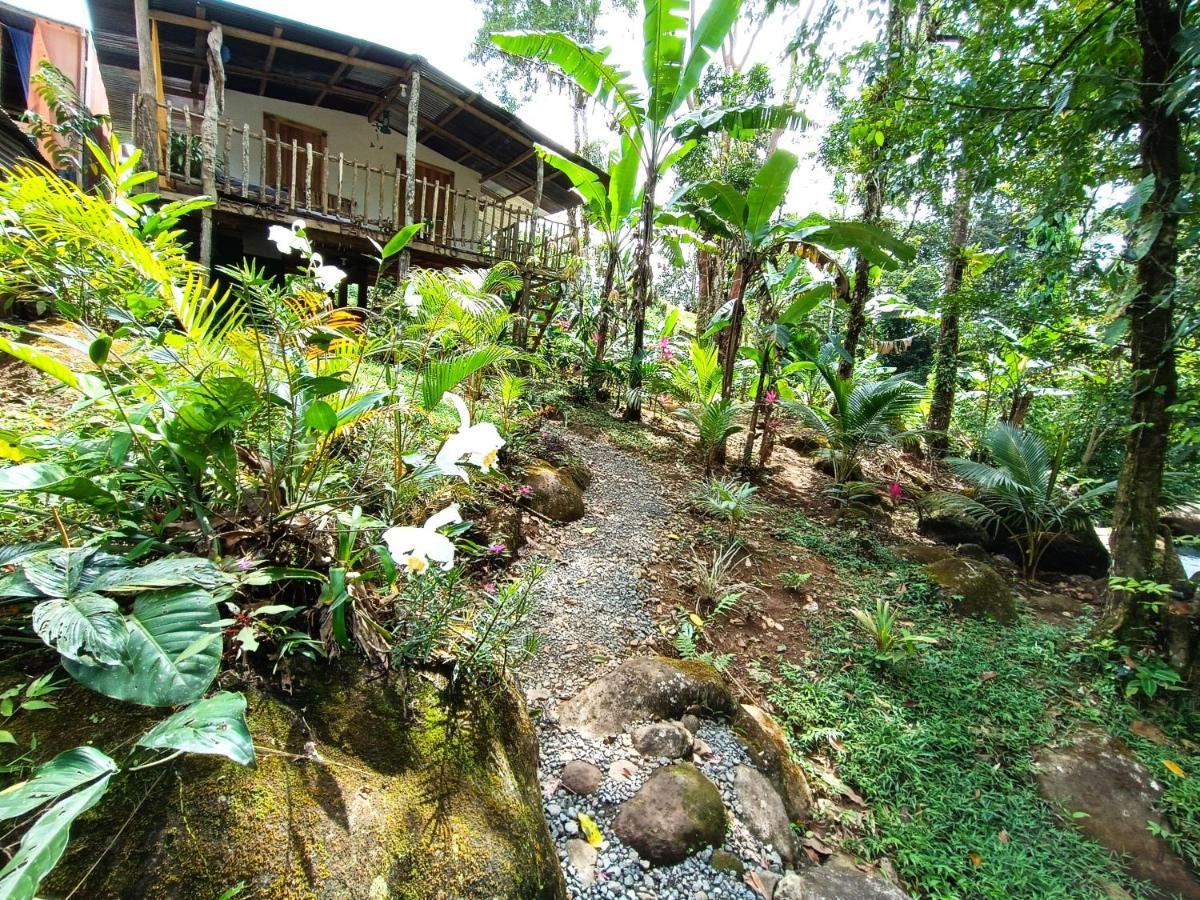 Cabana Vista Rio Celeste Extérieur photo