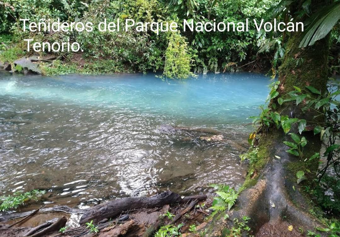 Cabana Vista Rio Celeste Extérieur photo